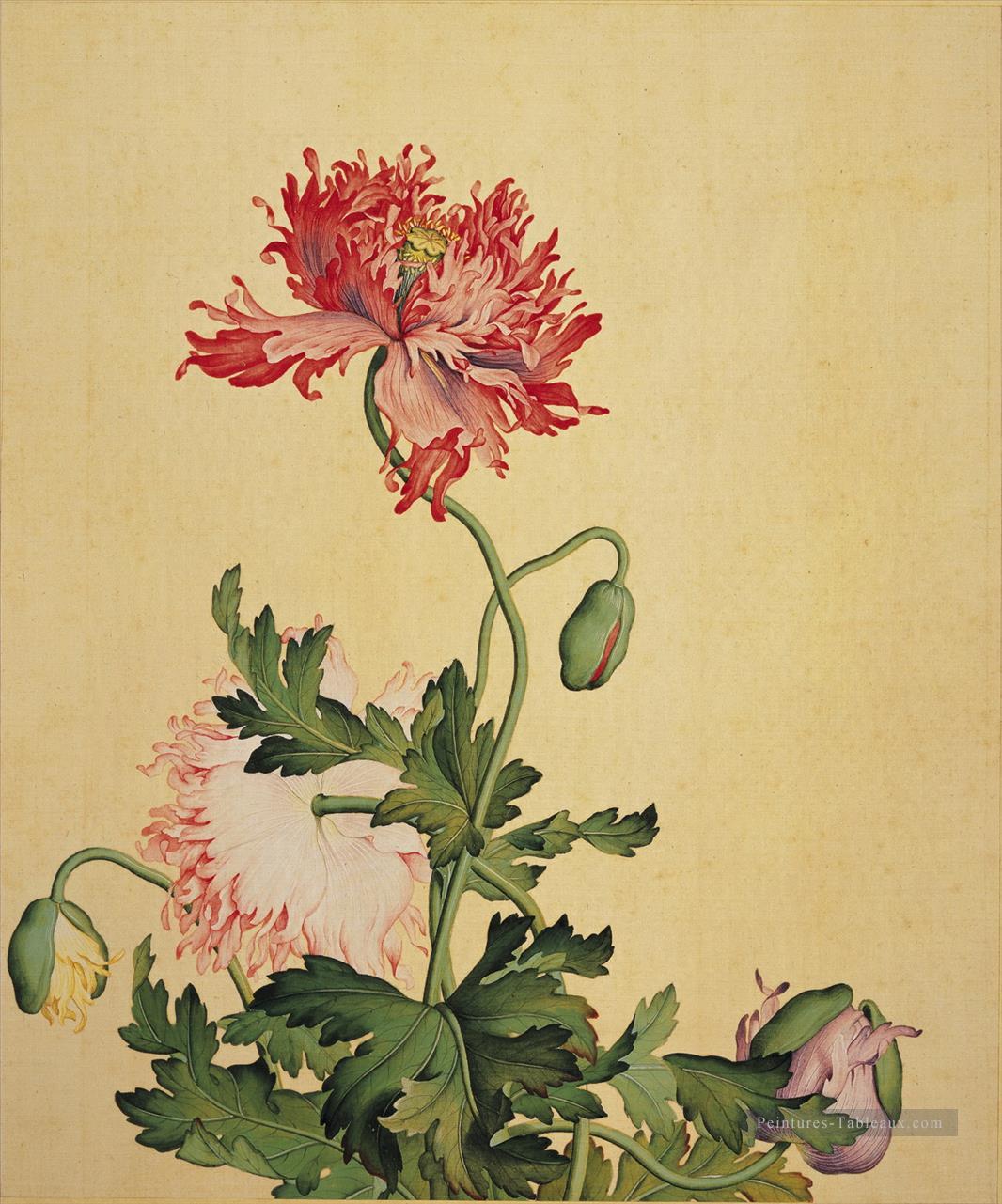 Lang brillant coquelicot ancienne Chine encre Giuseppe Castiglione décoration florale Peintures à l'huile